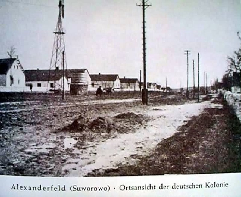 Alexanderfeld 1942.jpg